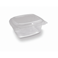 Clear PET Container Hinged Lid Rectangle 16oz 470ml Pkt of 50