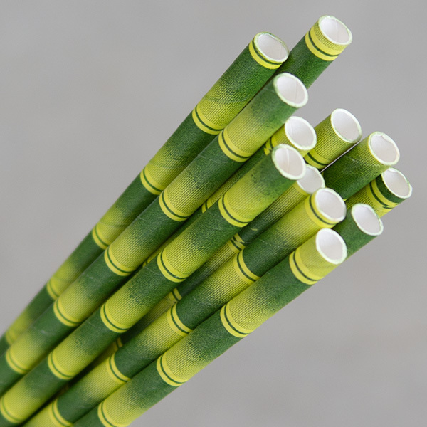 Eco-Straw Regular Paper Straw Bamboo Print Pk of 250