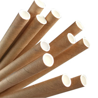  Eco Paper Straw Regular Kraft Brown Ctn of 2500