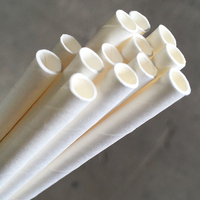 Eco-Straw Regular Paper Straw  White Ctn of 2500