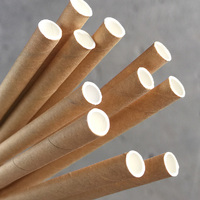 Eco-Straw Kraft Brown Paper Straw Jumbo Kraft Ctn of 2500