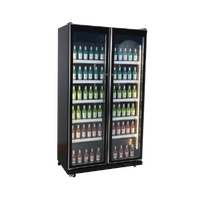 Double Glass Door Upright Display Refrigerators with Led Lights 3 Colours 690L DC700