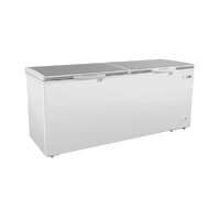 Two Top Doors Storage Chest Freezer - Stainless Steel 561L ESS660H