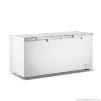 Thermaster 600L Chest Freezer with Stainless Steel Lid - BD600F