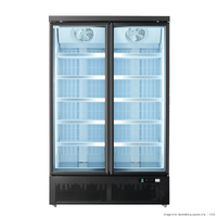 Thermaster Double Door Supermarket Freezer Black Bottom Mounted - LG-1000BGBMF 