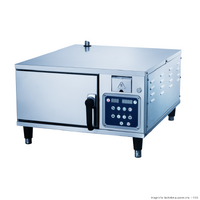 Benchstar Electrical Super Steamer NP-2SL 