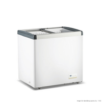 Thermaster 256L Chest Freezer with Flat Glass Sliding Lids - WD256G 