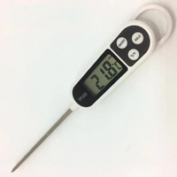 Digital Thermometer 250x30x20mm