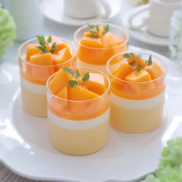Dessert Cup Round Indivivdual Plastic Cups Pk of 20