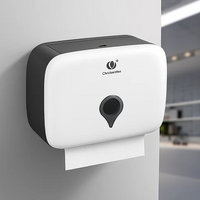 Paper Towel Dispenser - 265x100.5x210mm 