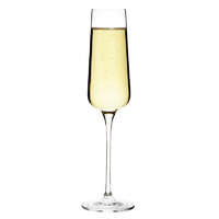 Olympia Claro Wine Flute 230ml Set of 6
