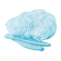 Disposable Hair Nets, Blue Pk of 100