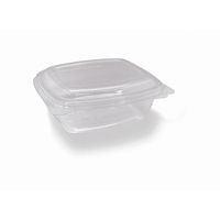 Clear PET Container Hinged Lid Rectangle 12oz 355ml Pkt of 50
