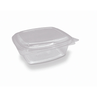 Clear PET Container Hinged Lid Rectangle 24oz 710ml Pkt of 50
