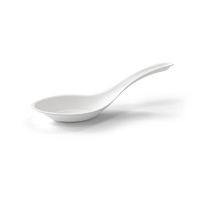 Sugarcane Chinese Soup Spoon Ctn of 1000