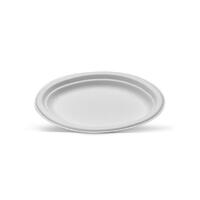 Sugarcane Small Oval Plate 191x 254mm Carton of 500
