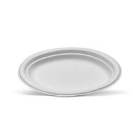 Sugarcane Large Oval Plate 251x 318mm Carton of 500