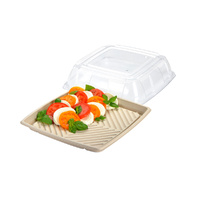 Compostable Platter Square w Lid 10" / 26cm Pkt of 10