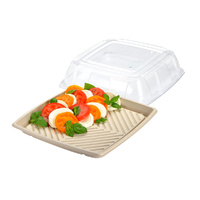 Compostable Platter Square w Lid 12" / 31cm ONE ONLY