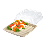 Compostable Platter Square w Lid 12" / 31cm Pkt of 10