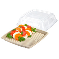 Compostable Platter Square w Lid 16" / 40cm ONE ONLY