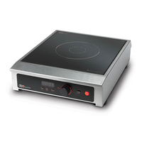 Dipo Portable Induction Cooker / Warmer w Temperature Probe