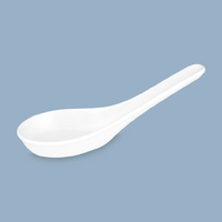 Wilkie Brothers Cuisine Spoon 14cm - New Bone China Set of 6