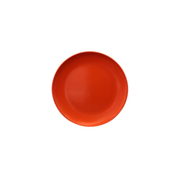 Serroni Melamine Plate 25cm - Orange