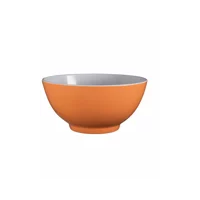Serroni Melamine 15cm Bowl Apricot Set of 6
