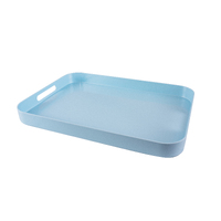 Serroni Melamine Rectangular Tray Duck Egg Blue