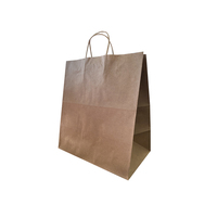  Kraft Paper Carry Bag  Medium 300x305x170mm  Pkt of 10